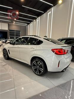 بی ئێم دەبڵیو X6